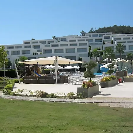 Horizon Sky Lemon 8 * Kıyıkıslacık